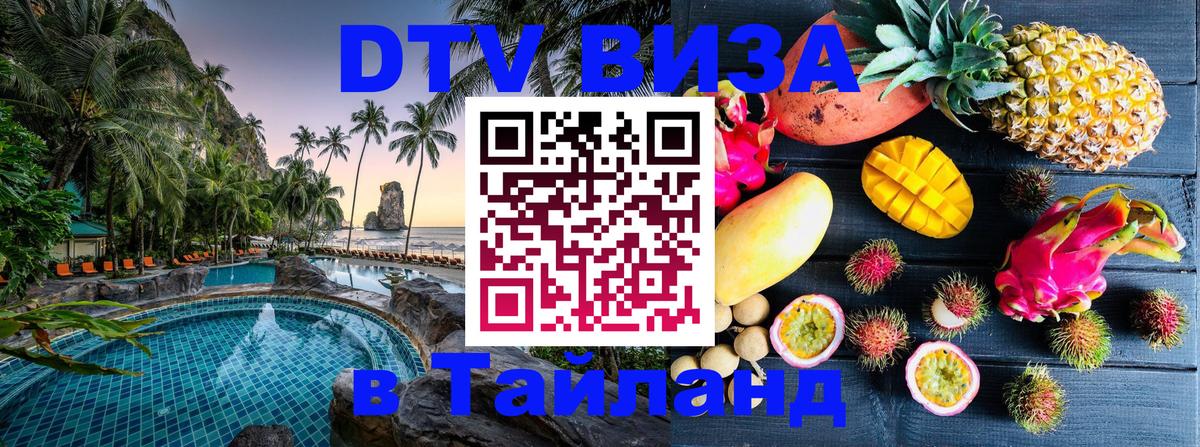 Оформление DTV визы под ключ: стоимость и тарифы, только загранпаспорт - 